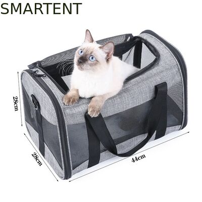 Large Cute Pet Supplies Unisex Indoor Outdoor Gear for Active Pets Featuring Comfortable Collars Leashes and Carriers サプライヤー