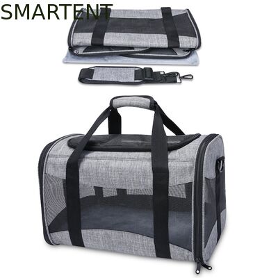 Large Cute Pet Supplies Unisex Indoor Outdoor Gear for Active Pets Featuring Comfortable Collars Leashes and Carriers サプライヤー