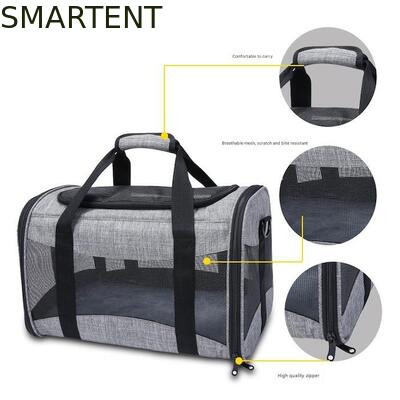 Large Cute Pet Supplies Unisex Indoor Outdoor Gear for Active Pets Featuring Comfortable Collars Leashes and Carriers サプライヤー