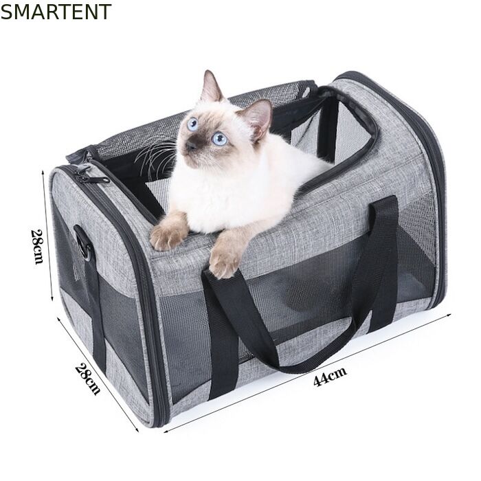 Large Cute Pet Supplies Unisex Indoor Outdoor Gear for Active Pets Featuring Comfortable Collars Leashes and Carriers サプライヤー